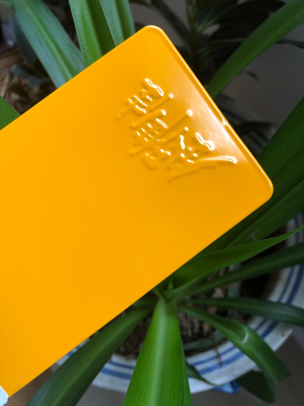 cast powder coatings