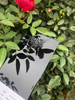 High Gloss Polyester Powder Coating RoHS ISO9001 Certificate Hot Sale Indoor Powder Coating Black High Gloss for Appliance Paint