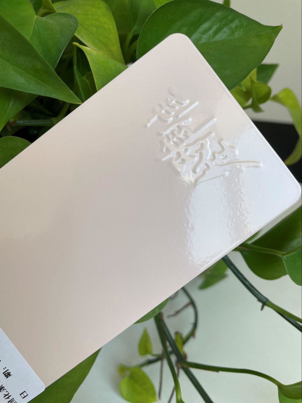 painting over powder coat