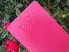 Quality Powder Coating Epoxy Polyester Architectural Powder Coatings Wrinkle Red Black Powder Coat