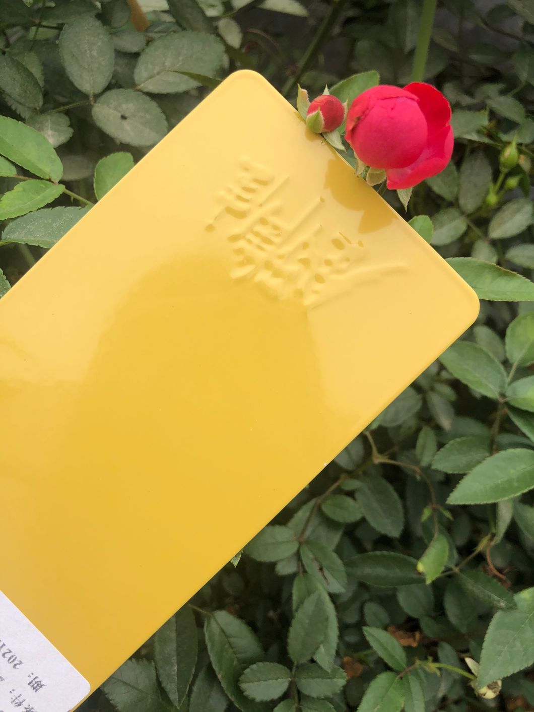 always powder coating bayswater