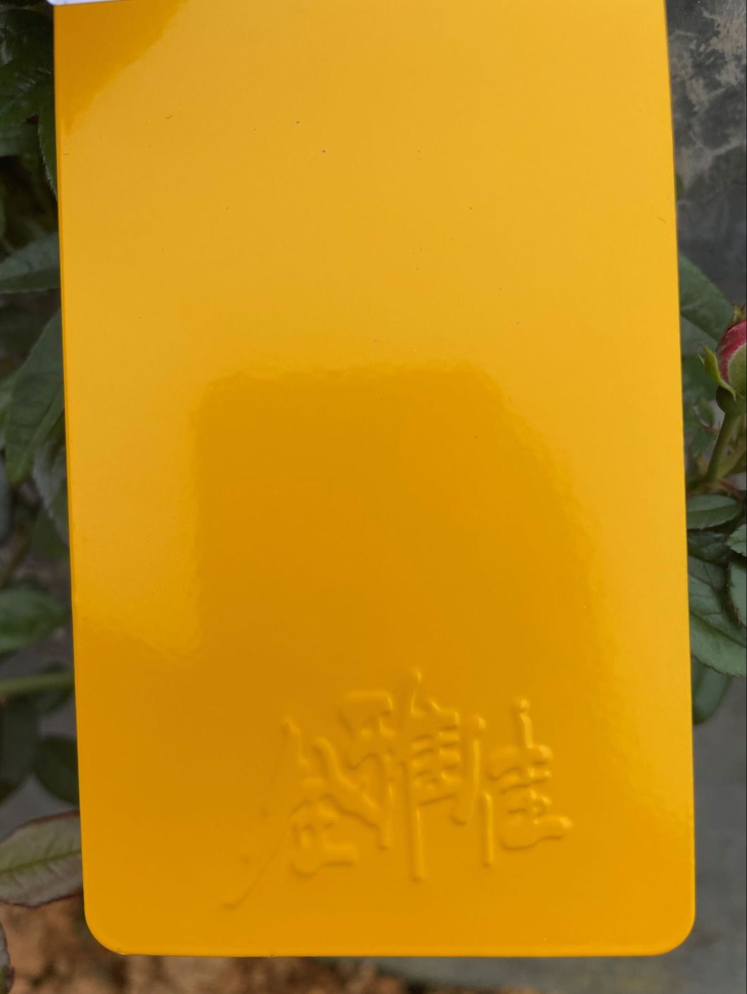  crest powder coating 