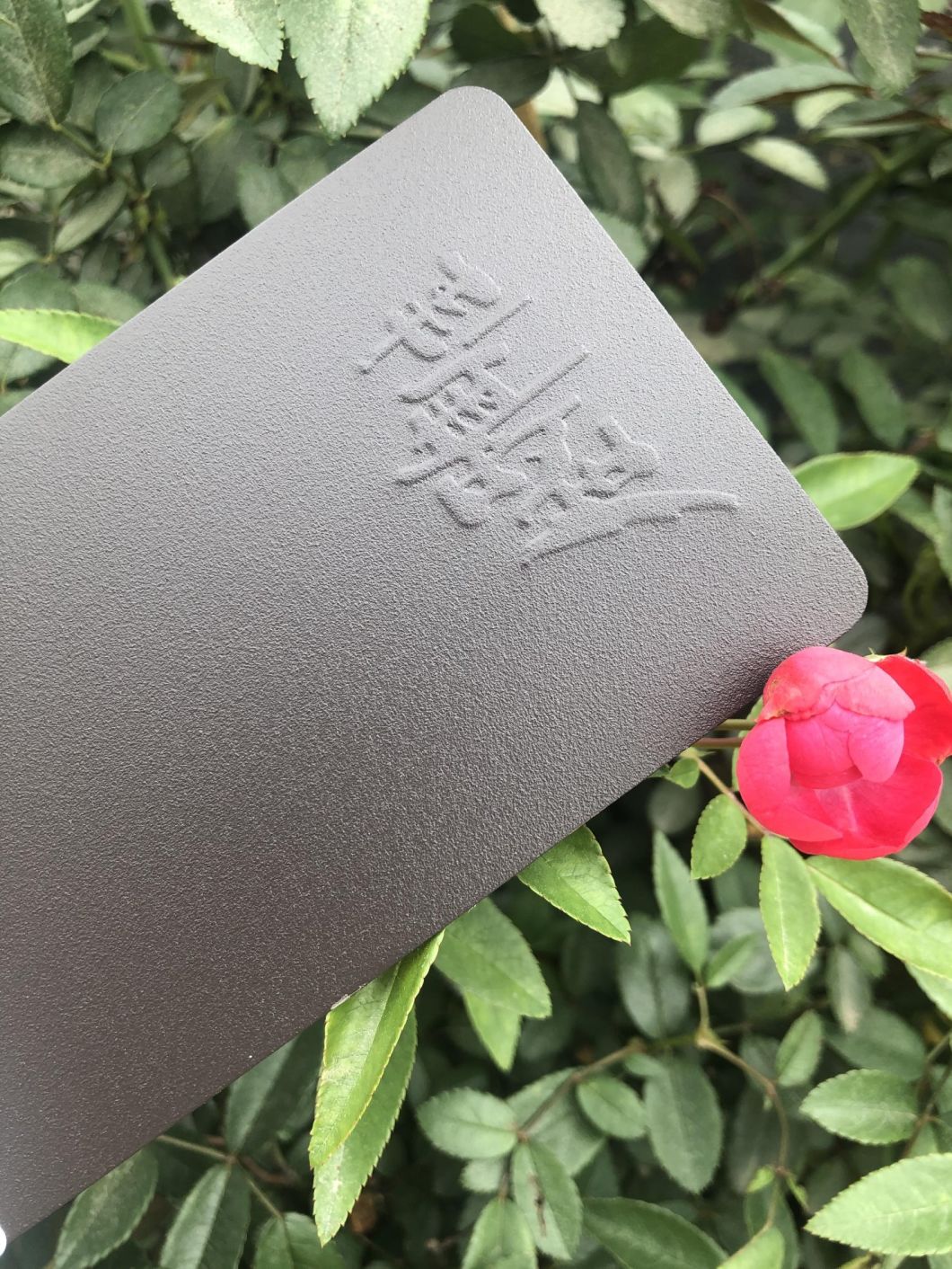 silver powder paint