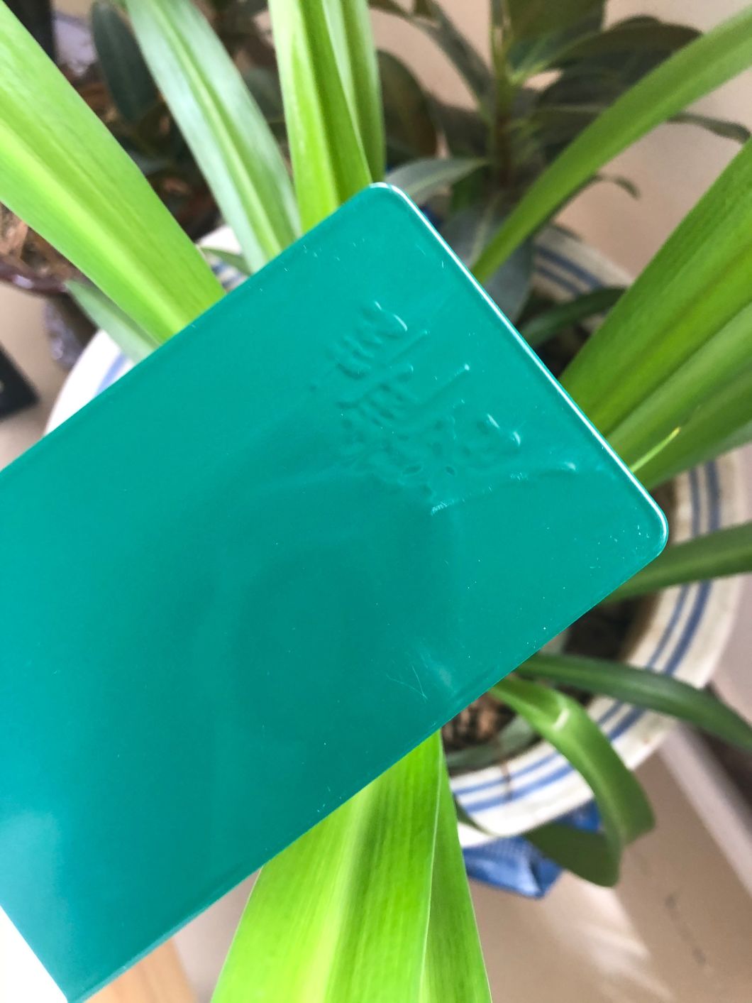 powder paint coating