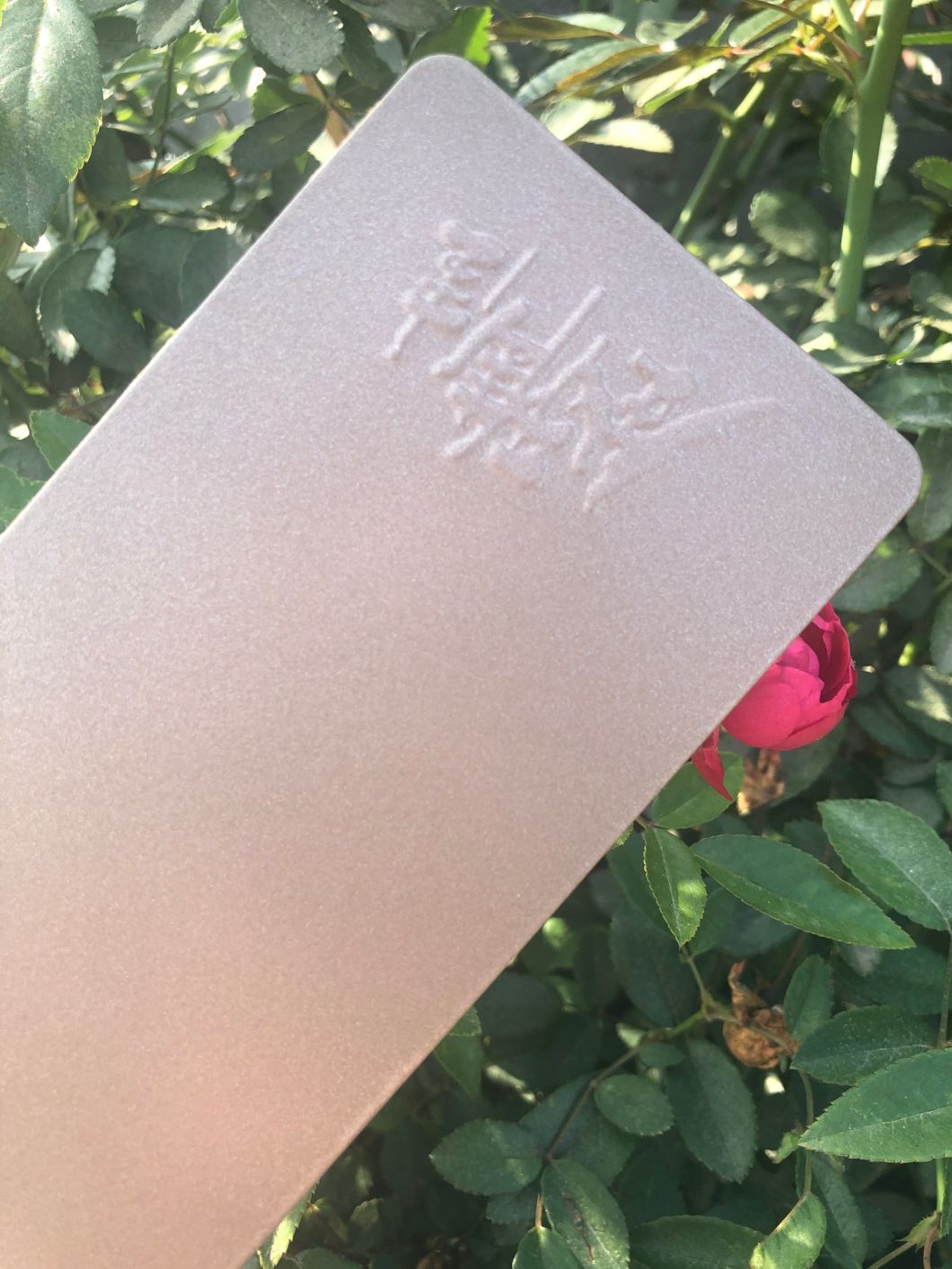 organic powder coating