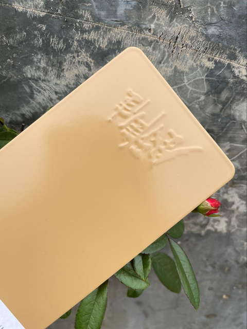 Stainless Steel Spray Paint/ Polyester Resin Powder Coating for Outdoor Metal Furniture