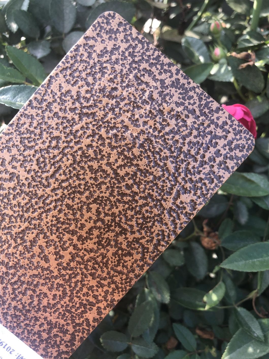 clear powder coating