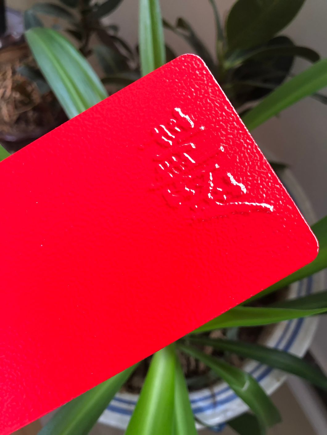 king coat powder coating