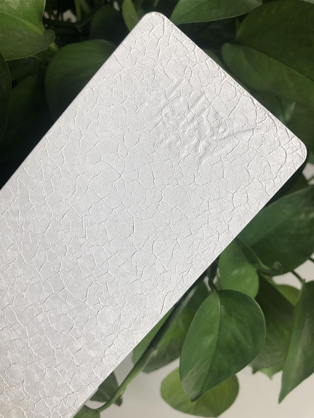 spanish gold powder coat