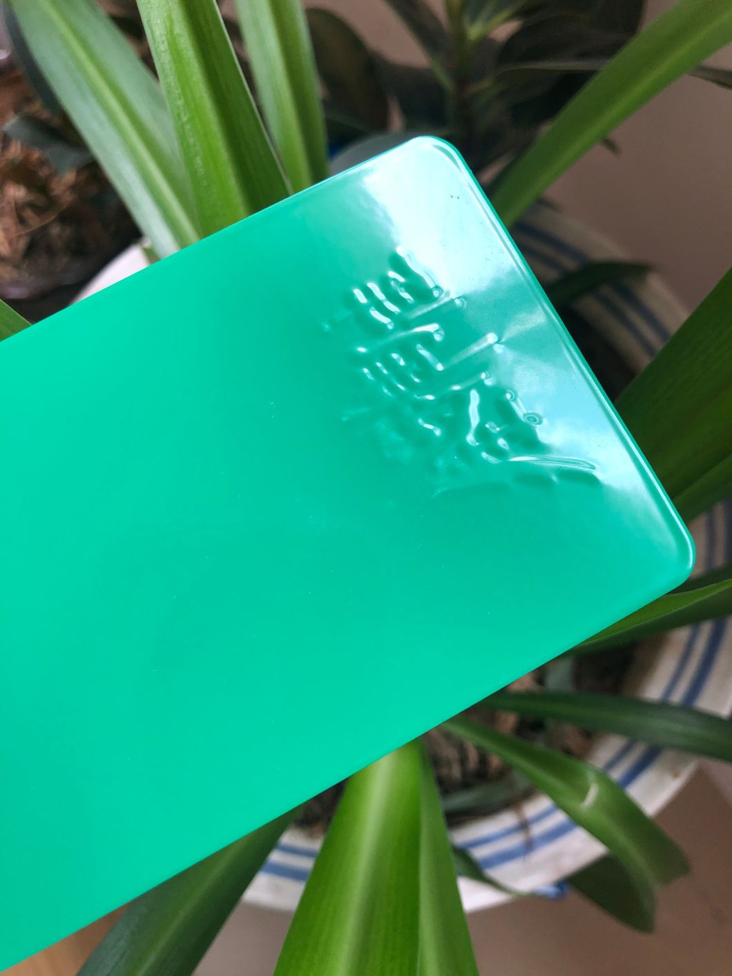 auto ceramic coating