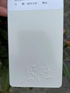 Electrostatic Spray Pure White Metal Powder Coating