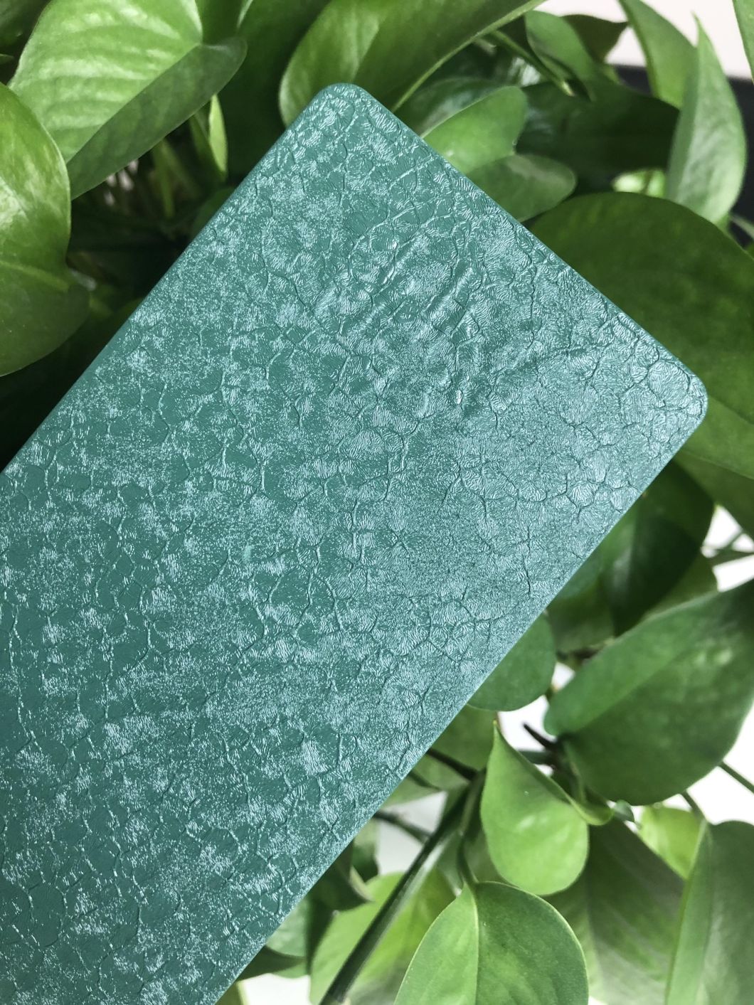 color powder coating