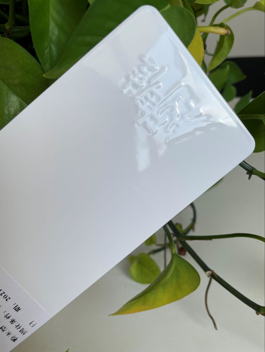 multi color powder coating