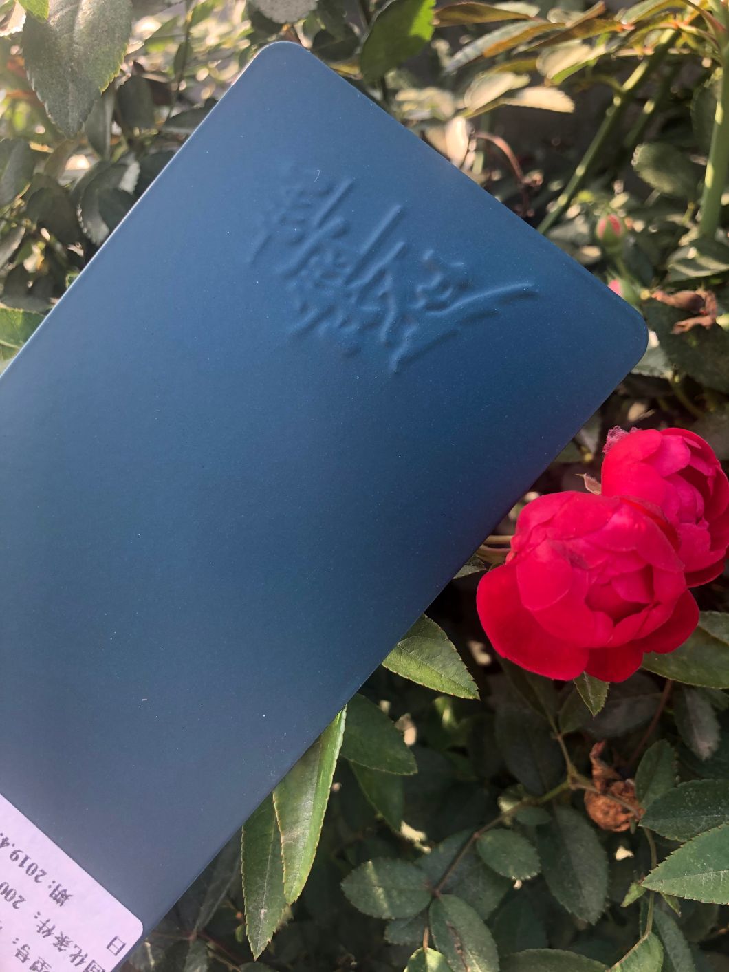 black chrome powder coat