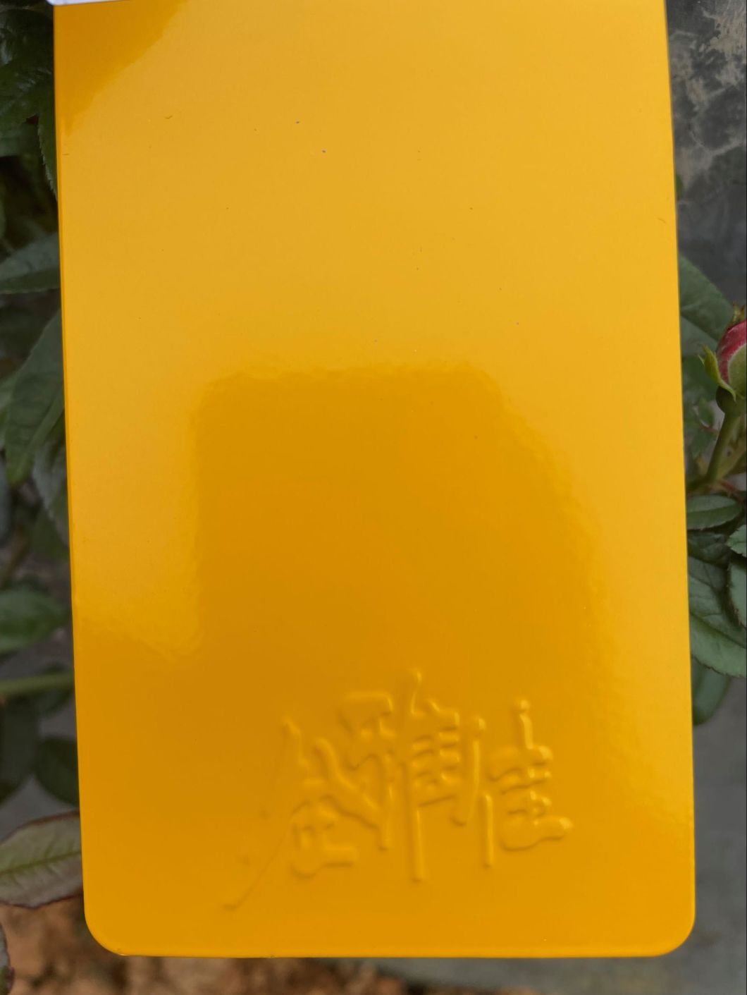 yellow powder coat