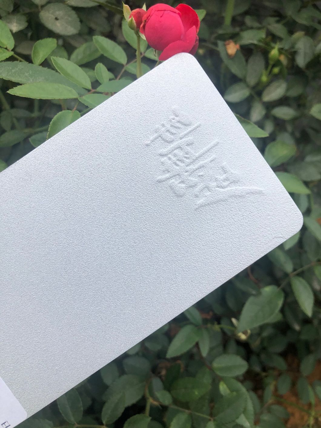 american powder coating