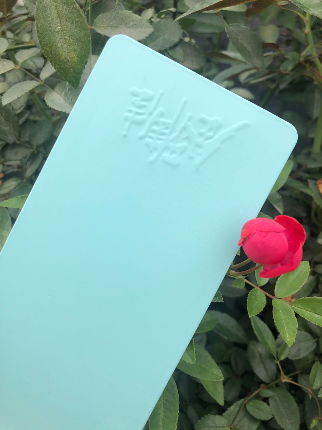 western powder coating