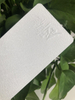 Manufacturer of Electrostatic Epoxy Polyester Crocodile Grain Hybrid Powder Coating