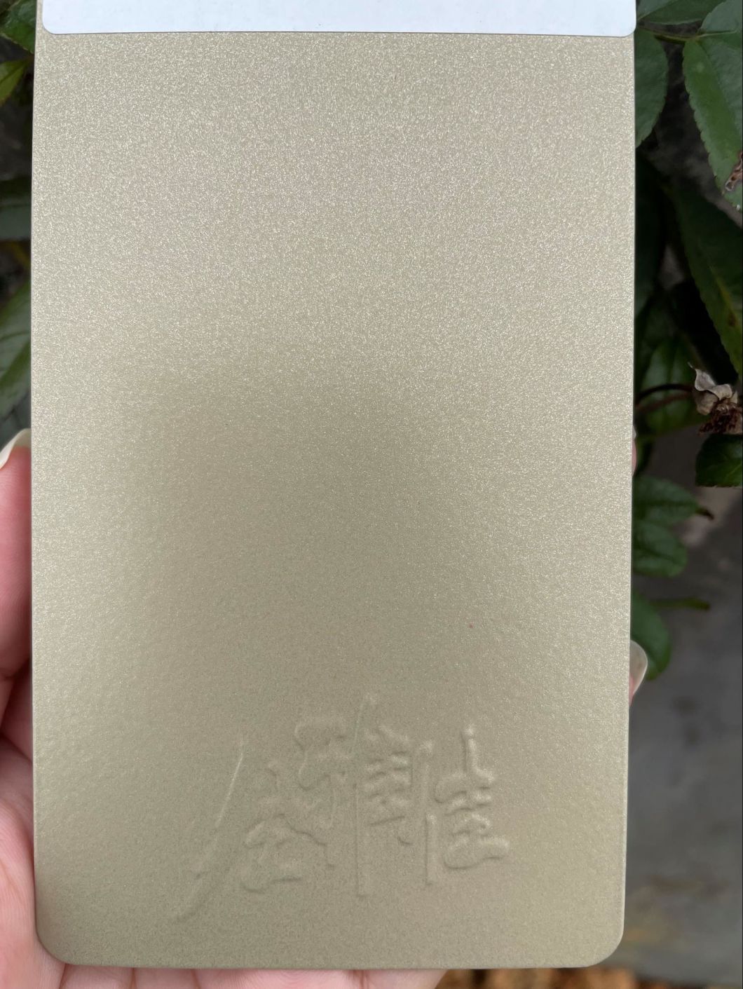 ral 9003 powder coating